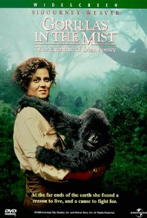 Gorillas in the Mist