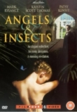 Angels and Insects | ShotOnWhat?