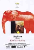 Elephant | ShotOnWhat?
