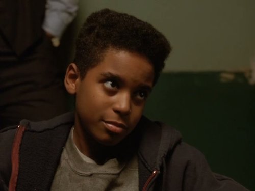 "Law &amp; Order" Mushrooms