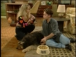 "Married... with Children" Buck Has a Belly Ache | ShotOnWhat?