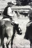 "Rawhide" Incident of Decision | ShotOnWhat?