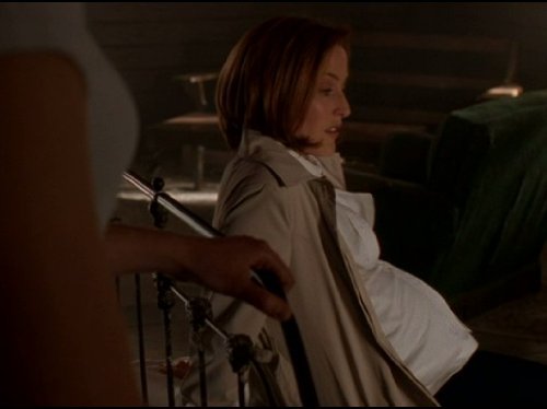 "The X-Files" Existence