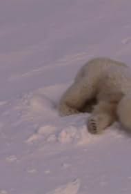 "Planet Earth" From Pole to Pole