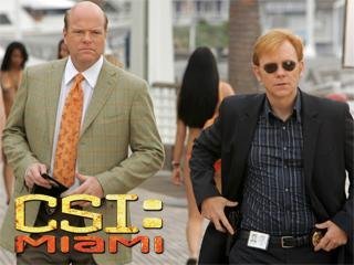 "CSI: Miami" Internal Affairs