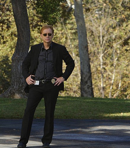 "CSI: Miami" Head Case