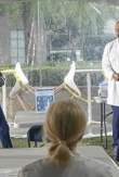 "Grey's Anatomy" Breathe | ShotOnWhat?