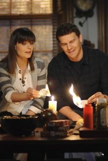 "Bones" The Blackout in the Blizzard