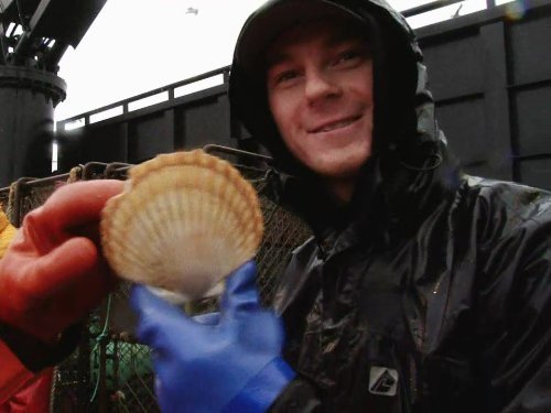 "Deadliest Catch" Breaking 'Em In