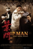 The Legend Is Born: Ip Man | ShotOnWhat?