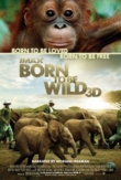 Born to Be Wild | ShotOnWhat?