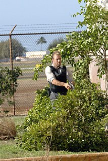 "Hawaii Five-0" Ohana