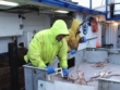"Deadliest Catch" A Wing and a Prayer | ShotOnWhat?
