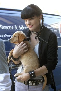 "NCIS" Enemy on the Hill