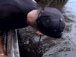 "Swamp People" Gator Gold Rush | ShotOnWhat?