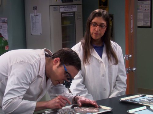 "The Big Bang Theory" The Vacation Solution