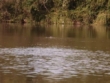 "Swamp People" Deadly Chill | ShotOnWhat?