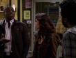 "Mike & Molly" Party Planners | ShotOnWhat?
