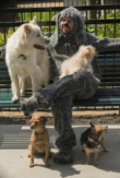 "Wilfred" Sincerity | ShotOnWhat?
