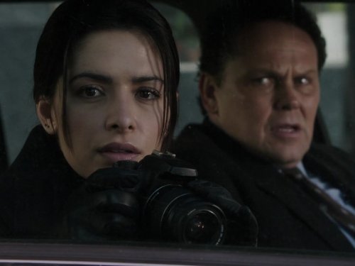"Person of Interest" Allegiance