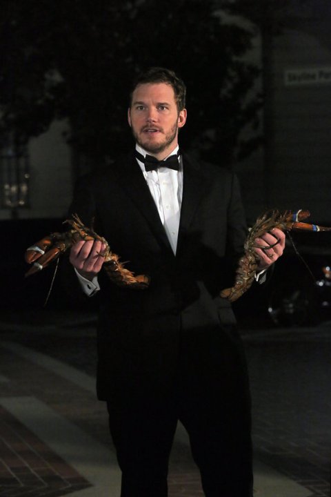 "Parks and Recreation" 2017