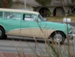 "Pawn Stars" Chum's Revenge | ShotOnWhat?