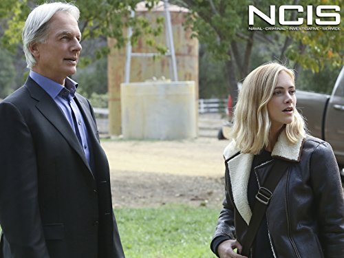 "NCIS" Blood Brothers