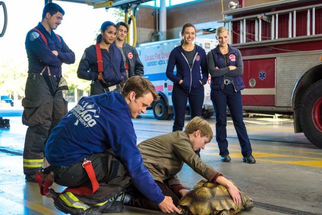 "Chicago Fire" When Tortoises Fly