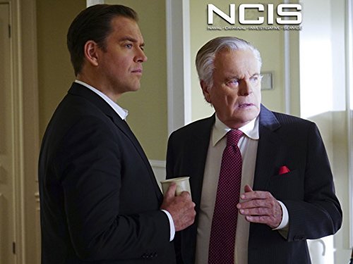 "NCIS" Reasonable Doubts