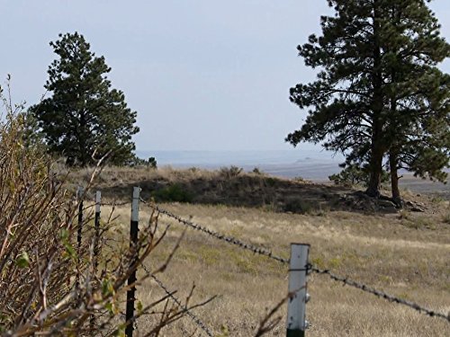 "Alone" Making the Cut