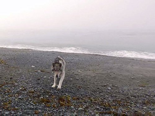 "Alone" The Knife's Edge