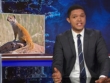 "The Daily Show" Yaa Gyasi/Sharlto Copley | ShotOnWhat?