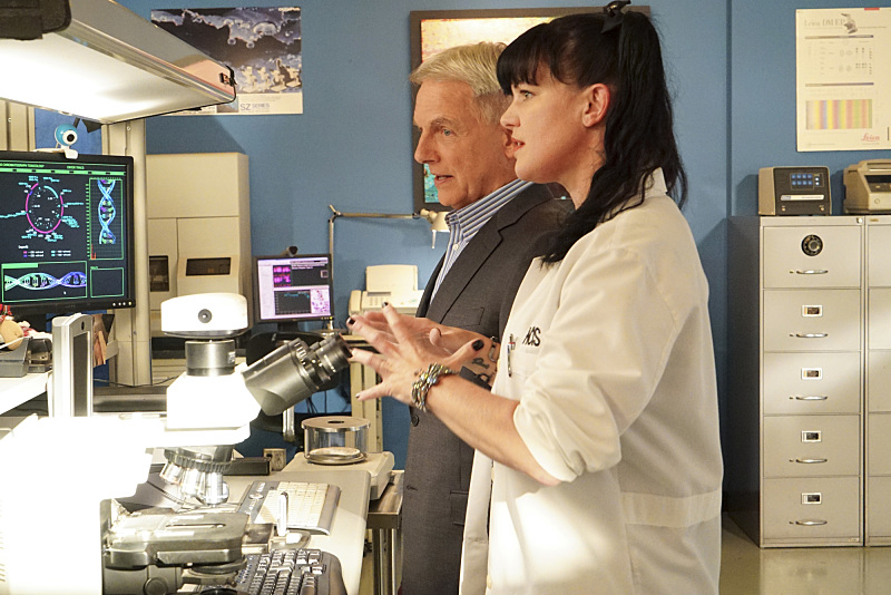 &quot;NCIS&quot; Shell Game