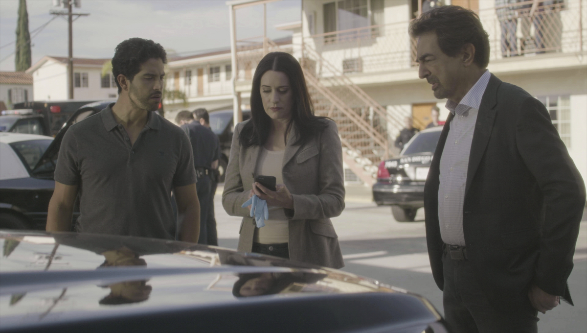 "Criminal Minds" Seek and Destroy