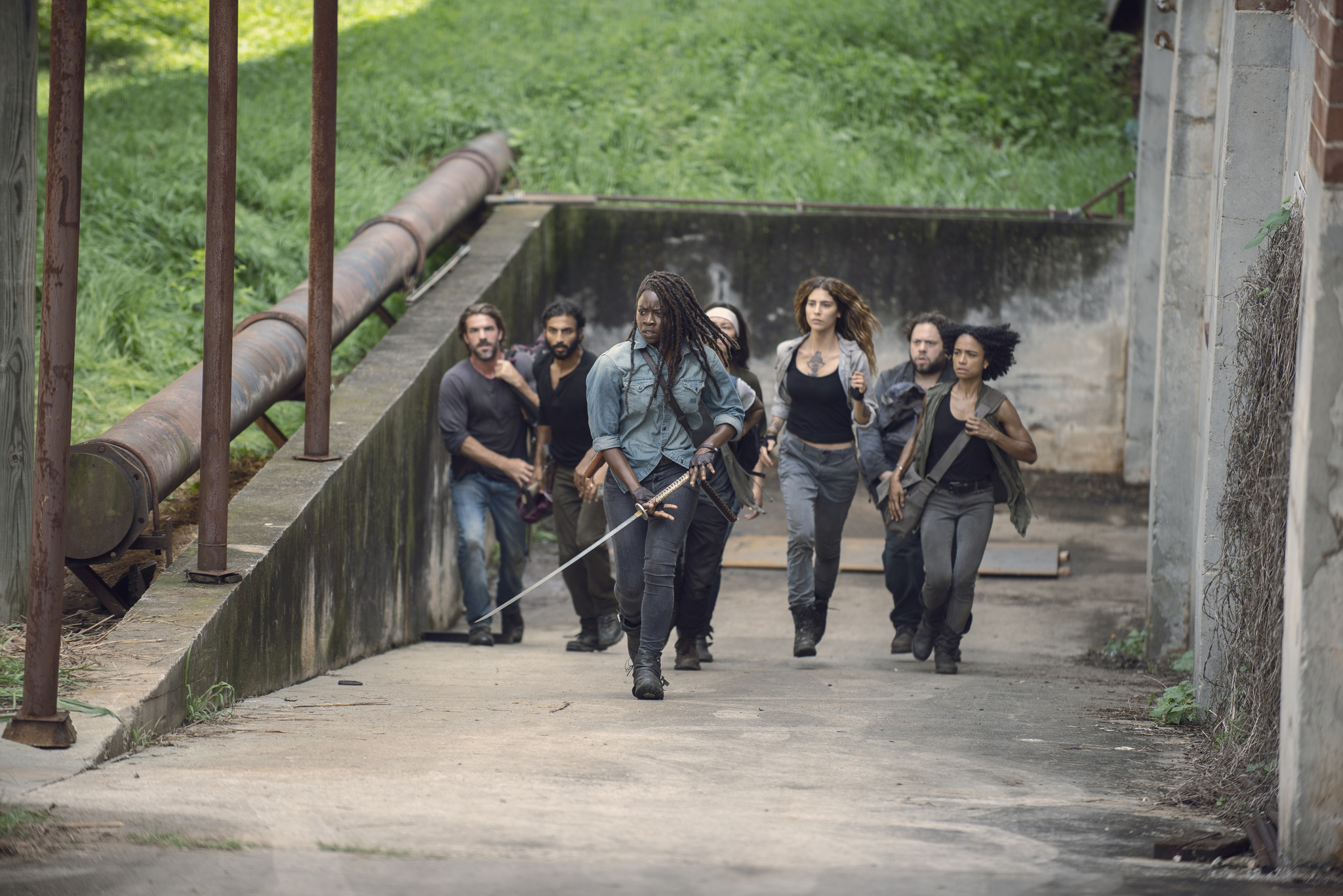 "The Walking Dead" Stradivarius