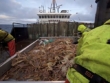 "Deadliest Catch" No Safe Harbor | ShotOnWhat?
