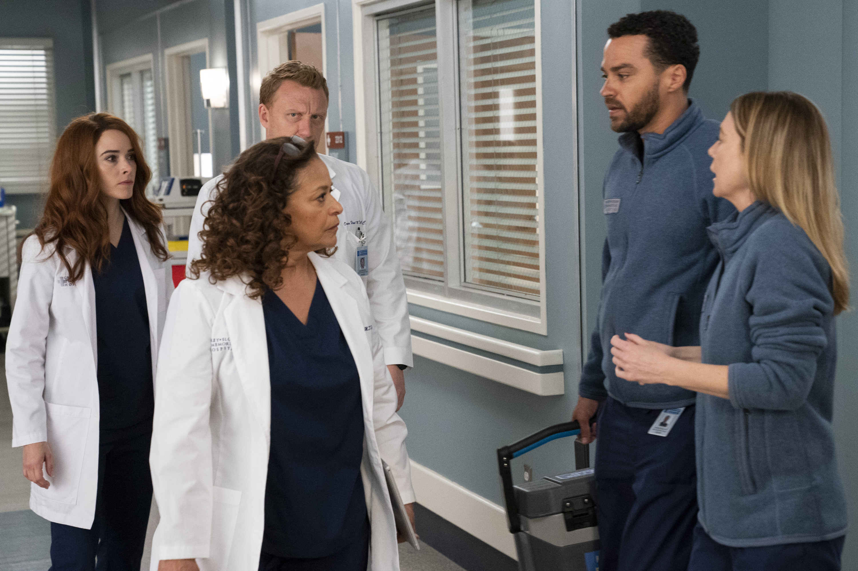 &quot;Grey's Anatomy&quot; The Whole Package